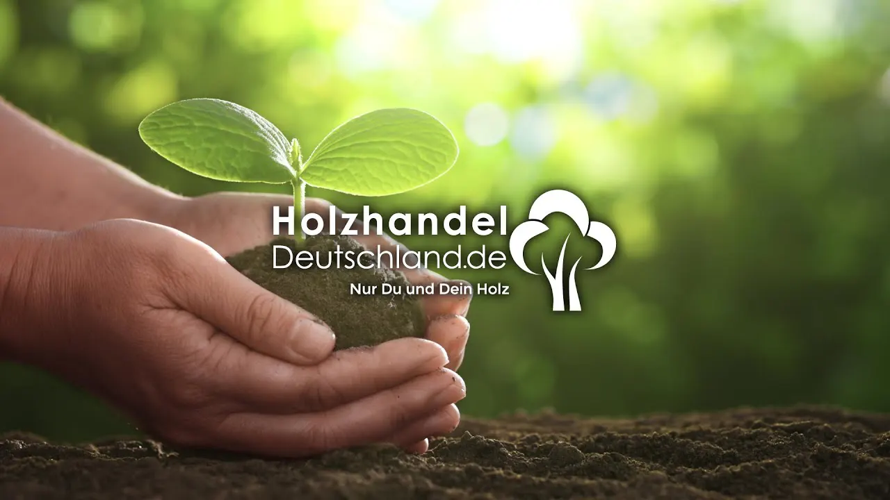 Nachhaltiger Holzhandel: So funktioniert's – Video abspielen