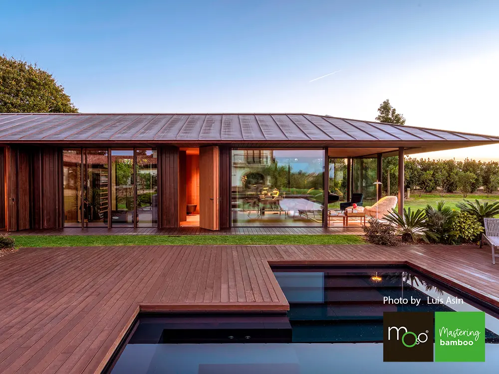 18-204631~~02~OBJ02_Moso_TD_178_grob