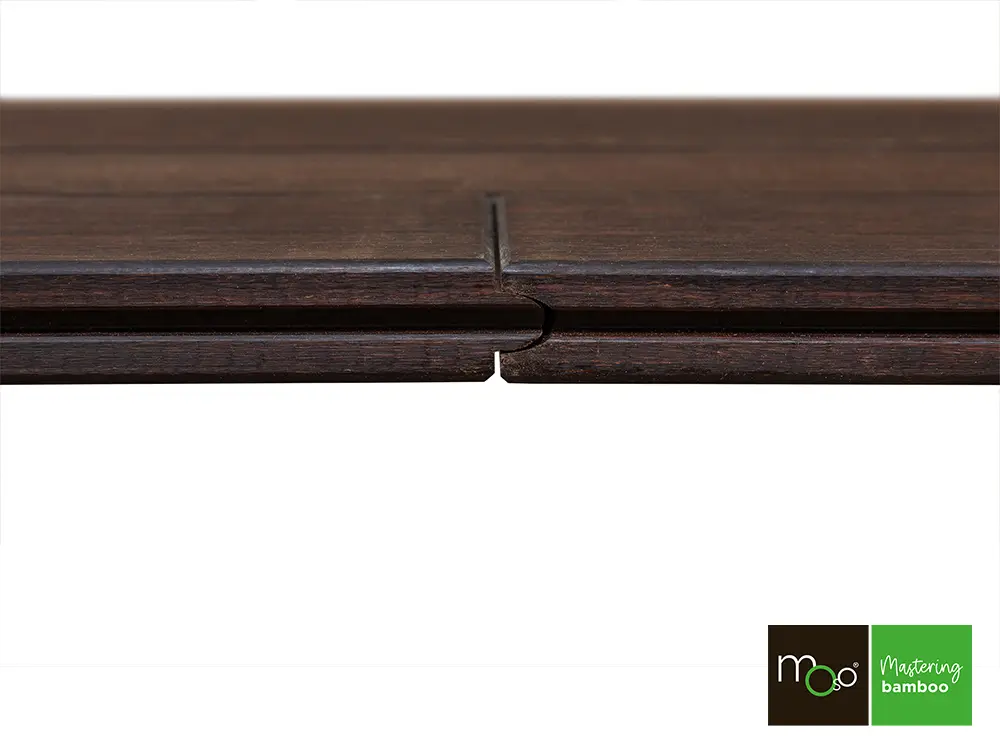 18-204636~~34~TD_Moso_137_FS34