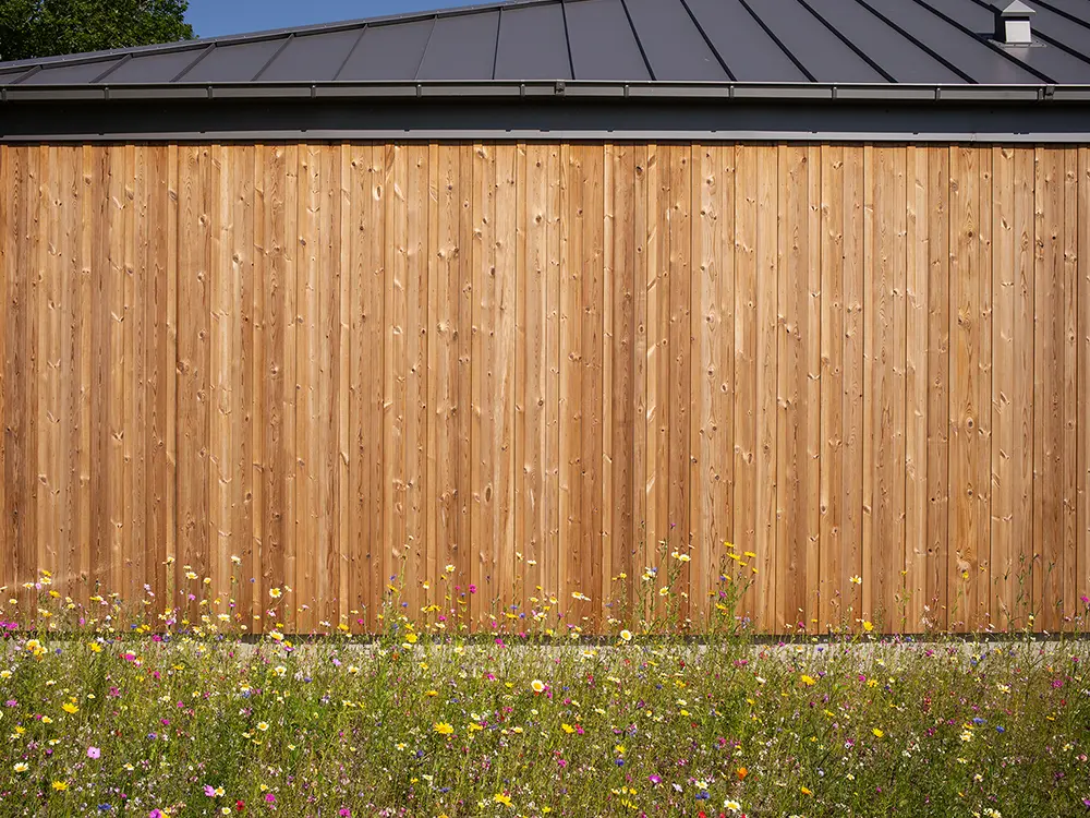 18-205170~~11~Thermokiefer_Glattkantbretter_19x140mm02