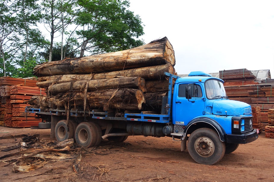 Holzstämme auf dem Transport