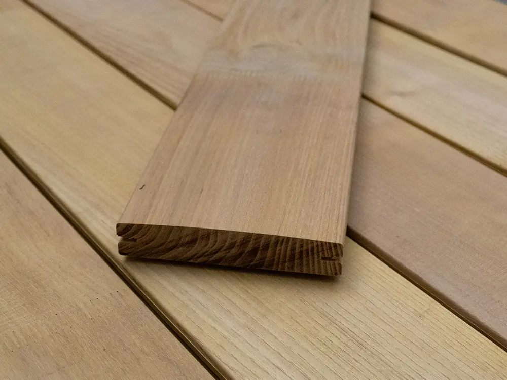 18-204623~~11~Robinie_TD_23x118_01