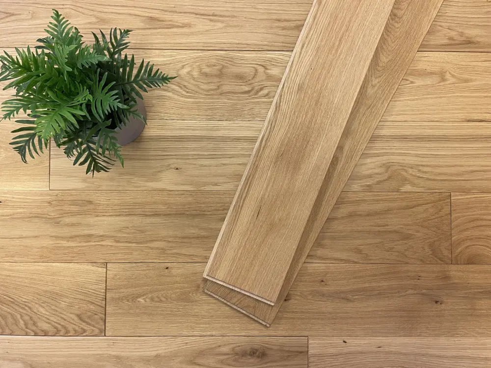 00052527~~01~Eiche_MHD_15x140_geoelt01