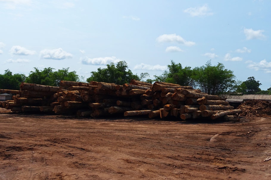 Lagerndes Holz