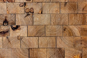Hirnholz