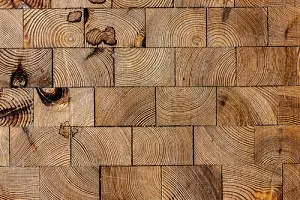 Hirnholz