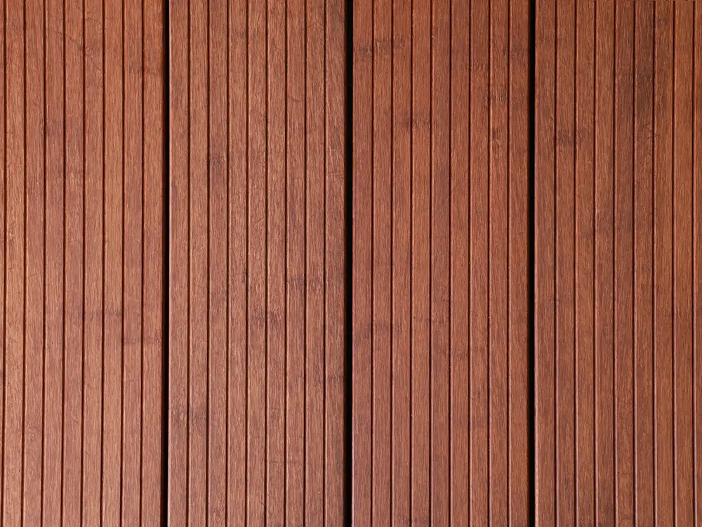 18-204458~~09~Moso09