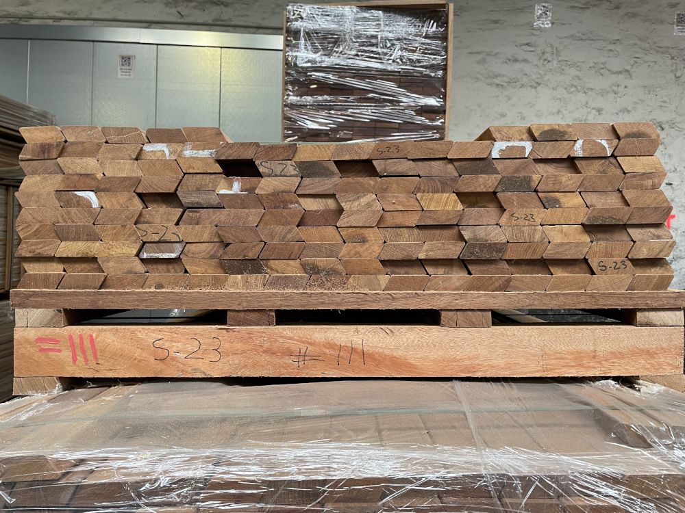 18-204117~~03~Tanimbuca_Rhombus_Lager03