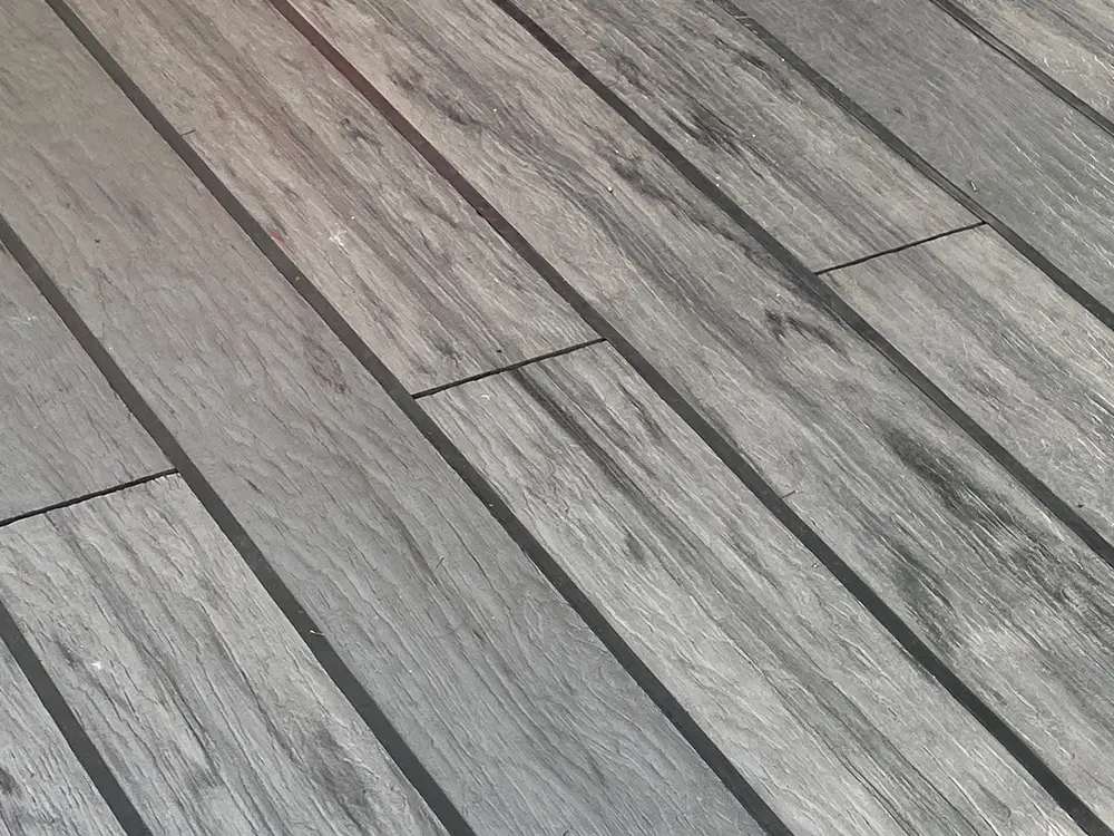 00004909~~02~Terrassenfugenband_Light_Ref02