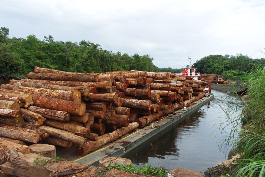 Holzstämme auf dem Transport