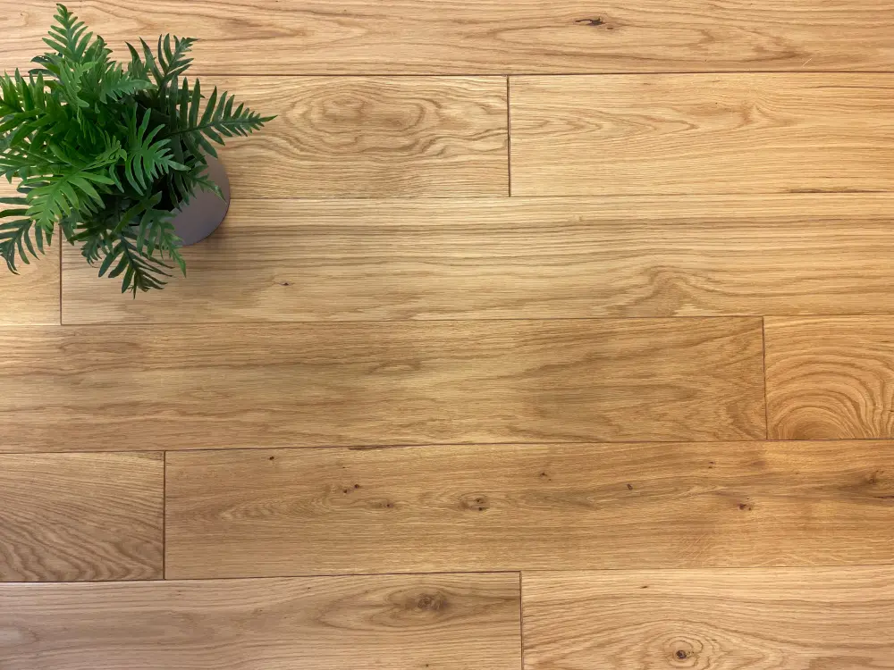 00052527~~02~Eiche_MHD_15x140_geoelt02