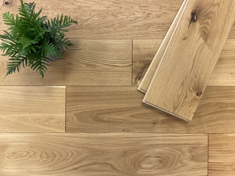 00052522~~01~Eiche_MHD_20x200_oel01