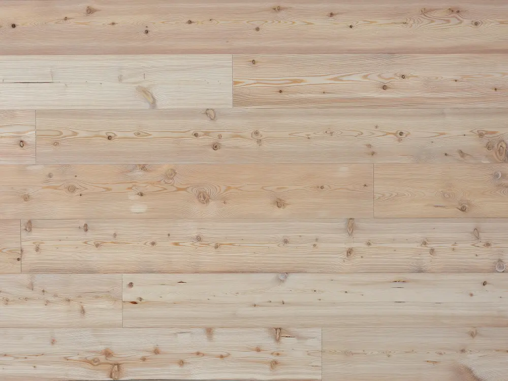 18-204022~~01~sib_Laerche_natur_roh1