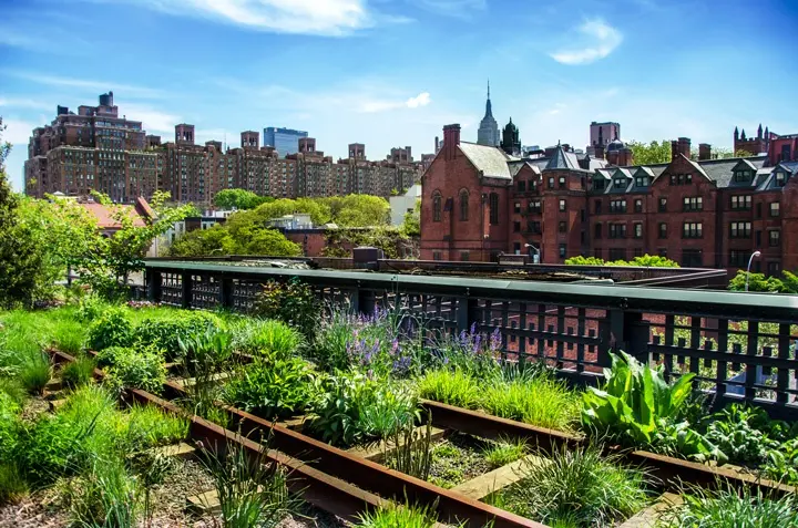 Urban Gardening: Die Stadt als grüne Oase für Mensch und Umwelt