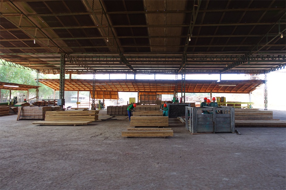 woher-kommt-das-holz-14