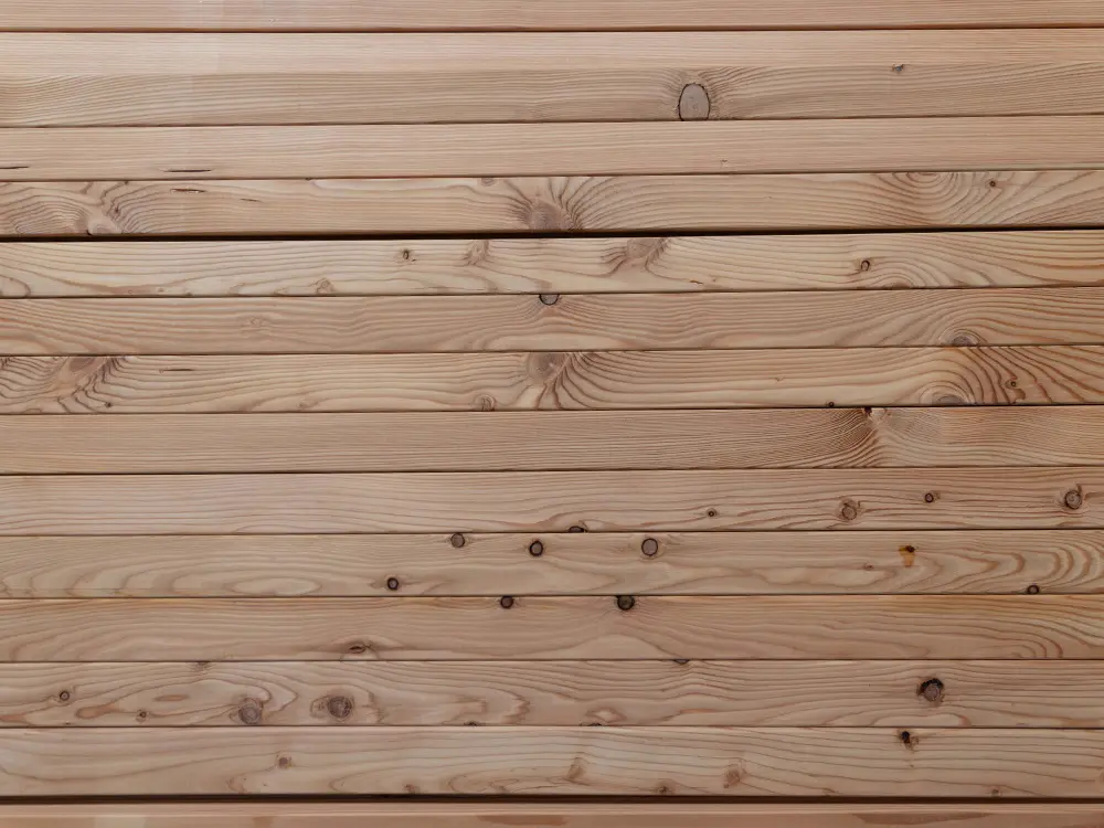 18-205033-B~~01~Euro_Laerche_RHO-B_Lager01