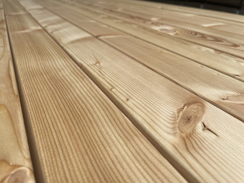 18-220519-B~~21~kanadische_Laerche_Lager21