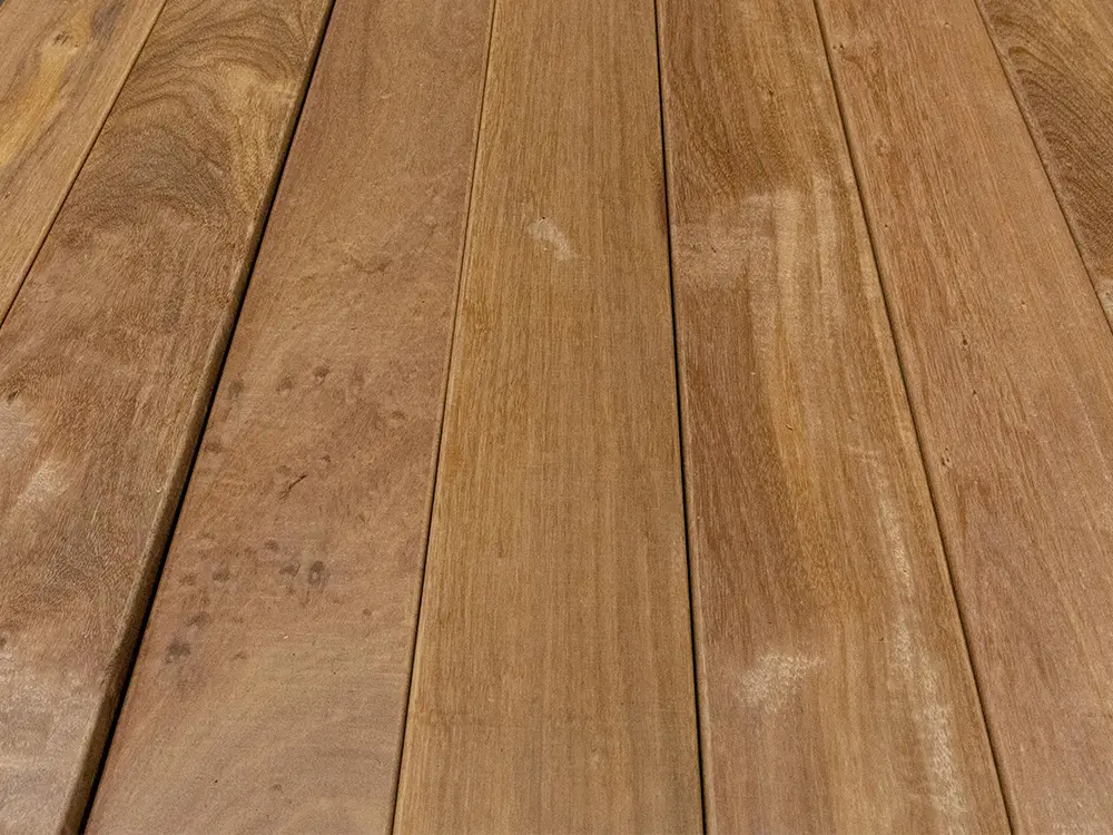 18-202375~~06~Guyana_Ipe_TD_25x140_06