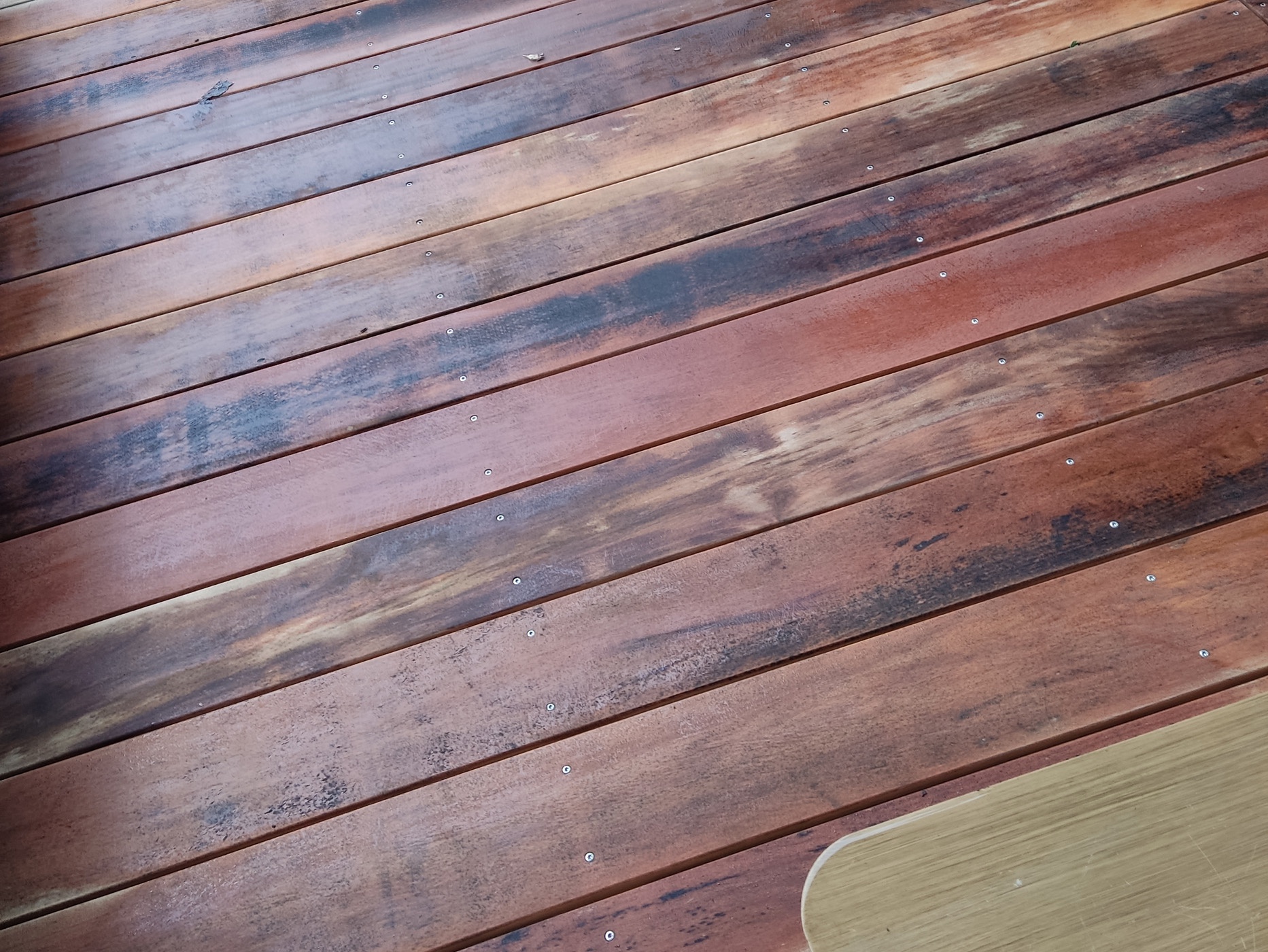 Eisenflecken auf Terrassendielen vermeiden: Alles über die Gerbsäure-Reaktion im Holz