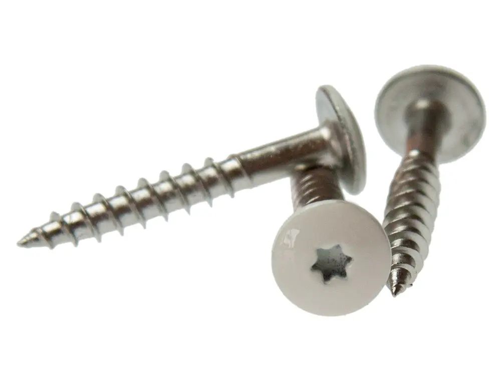 00021382~~01~Montageschraube-HPL-Schichtstoffplatten-Torx-V4A-Kopf-lackiert