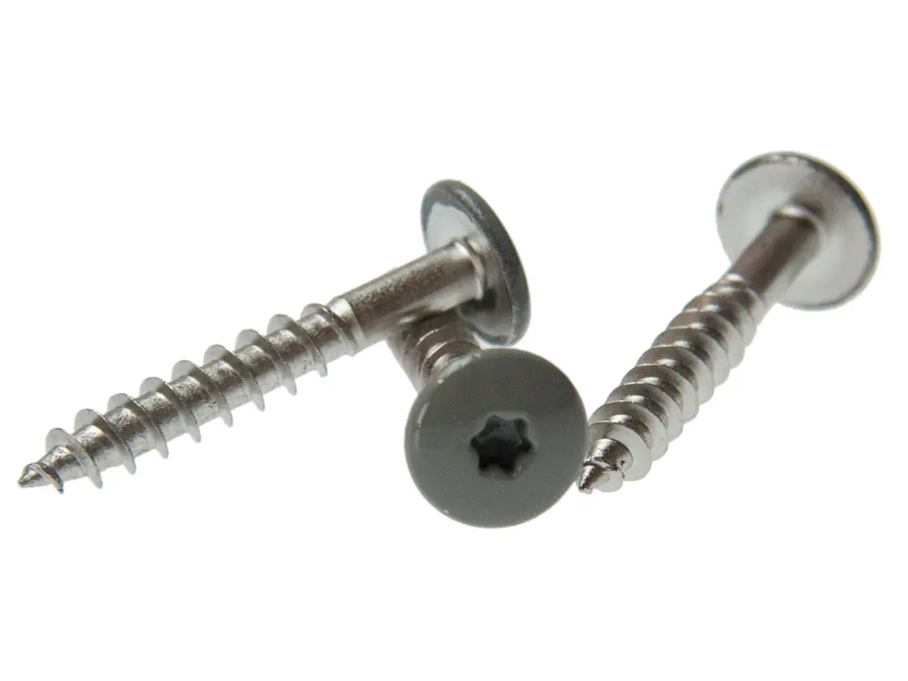 00021384~~01~Montageschraube-HPL-Schichtstoffplatten-Torx-V4A-Kopf-lackiert