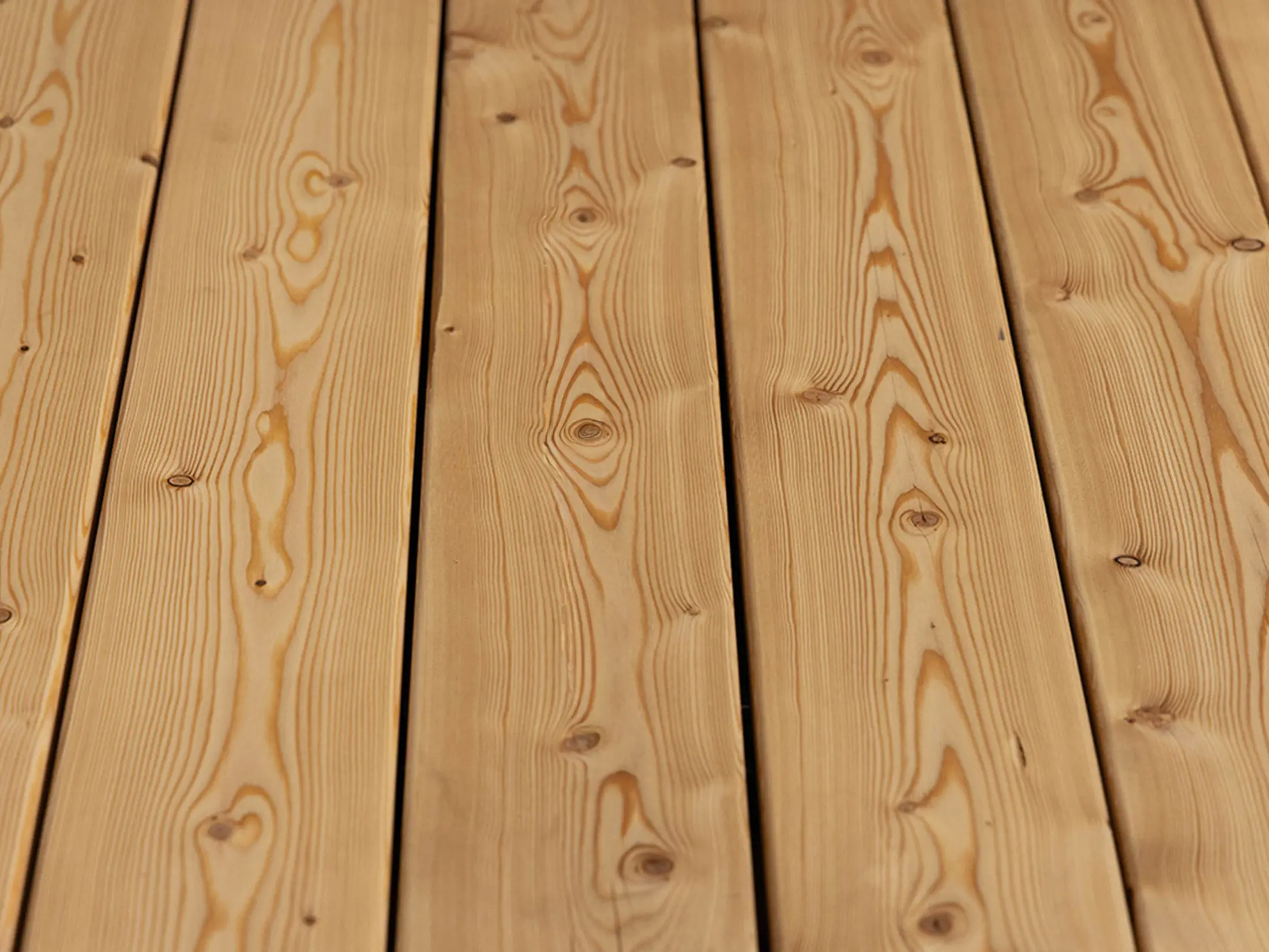 18-220330~~23~Kanadische_Lareche_27x143_glatt_Glatt_03