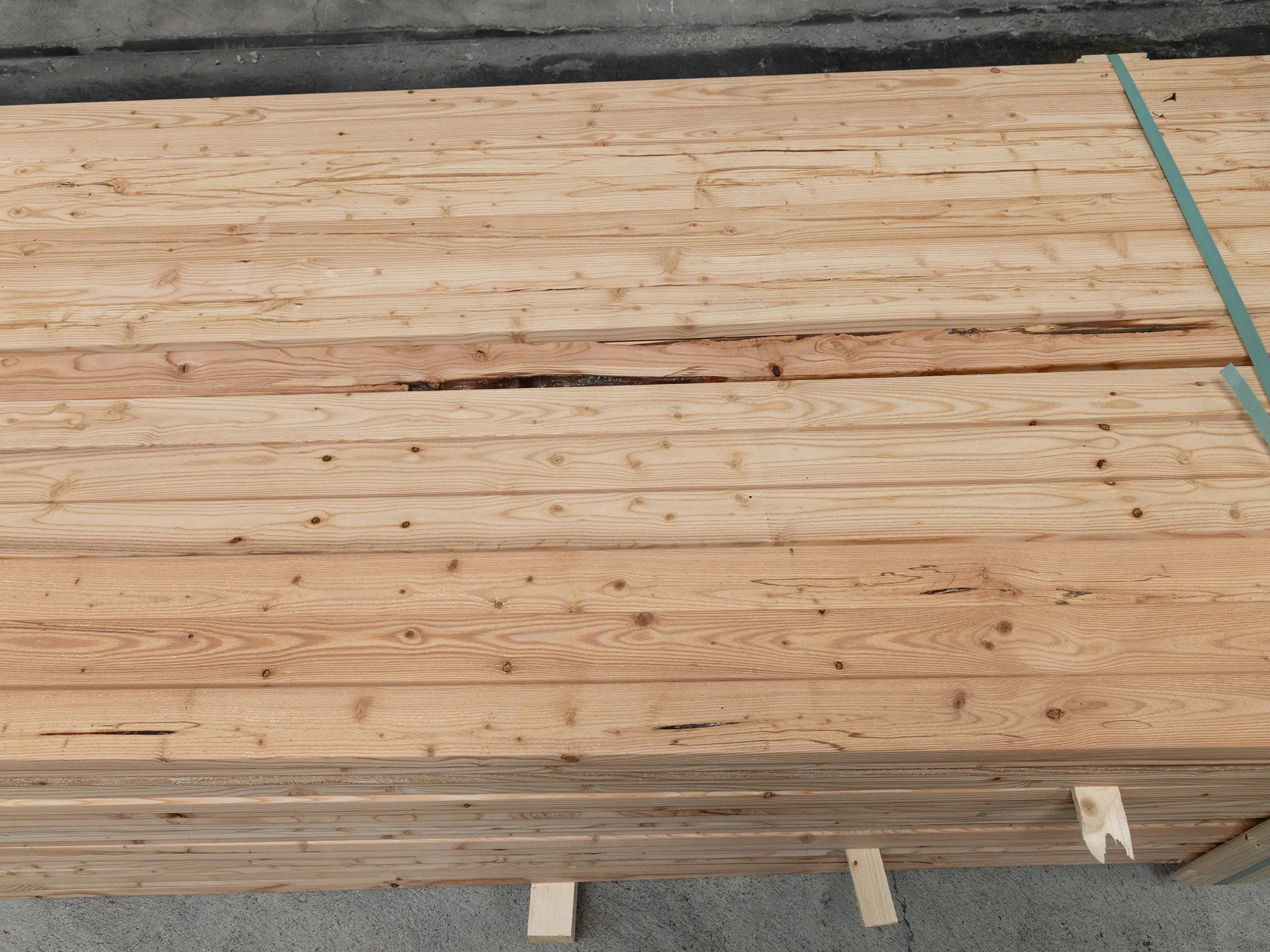 18-220594-B~~08~Kanadische_Laerche_Rhombusleisten_20x68mm_8