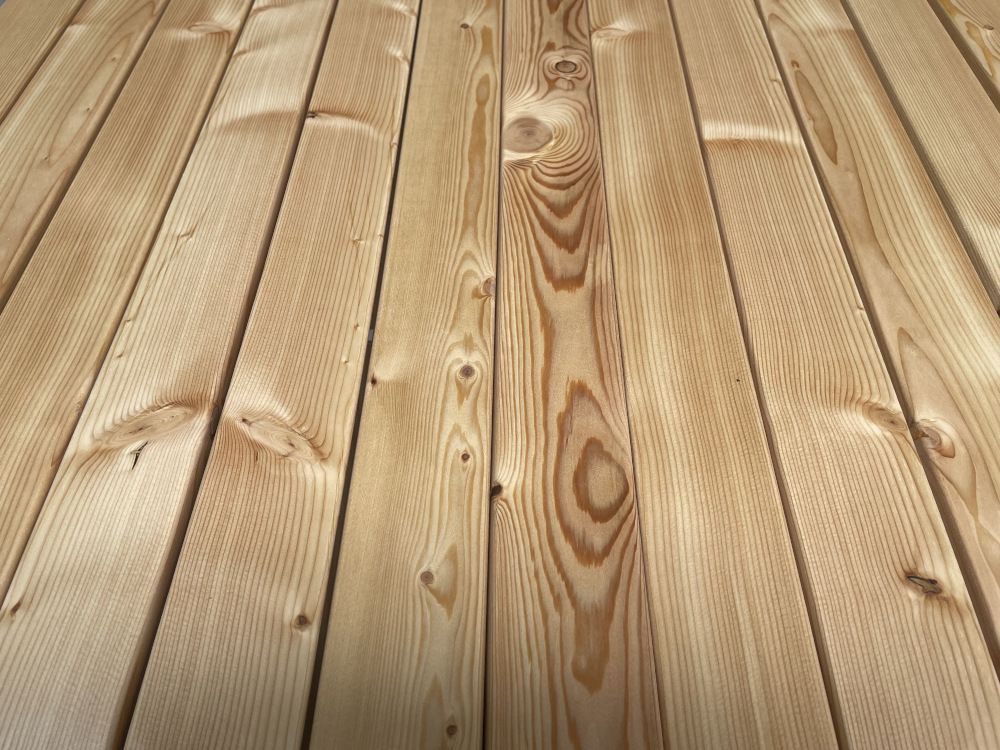 18-220519-B~~22~kanadische_Laerche_Lager22