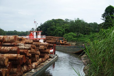 woher-kommt-das-holz-09