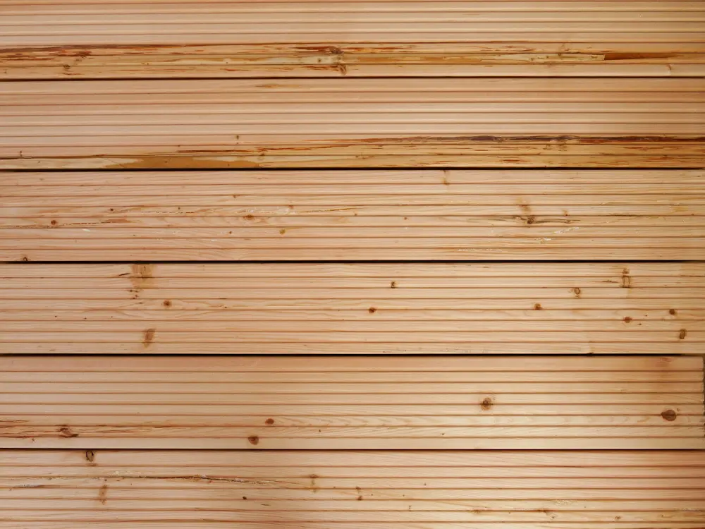 18-220334-B~~25~Kanadische_Douglasie_27x143_grob_grob_05