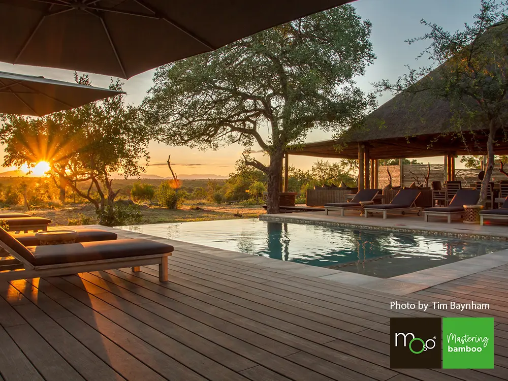 18-204630~~05~OBJ05_Moso_TD_208_fein