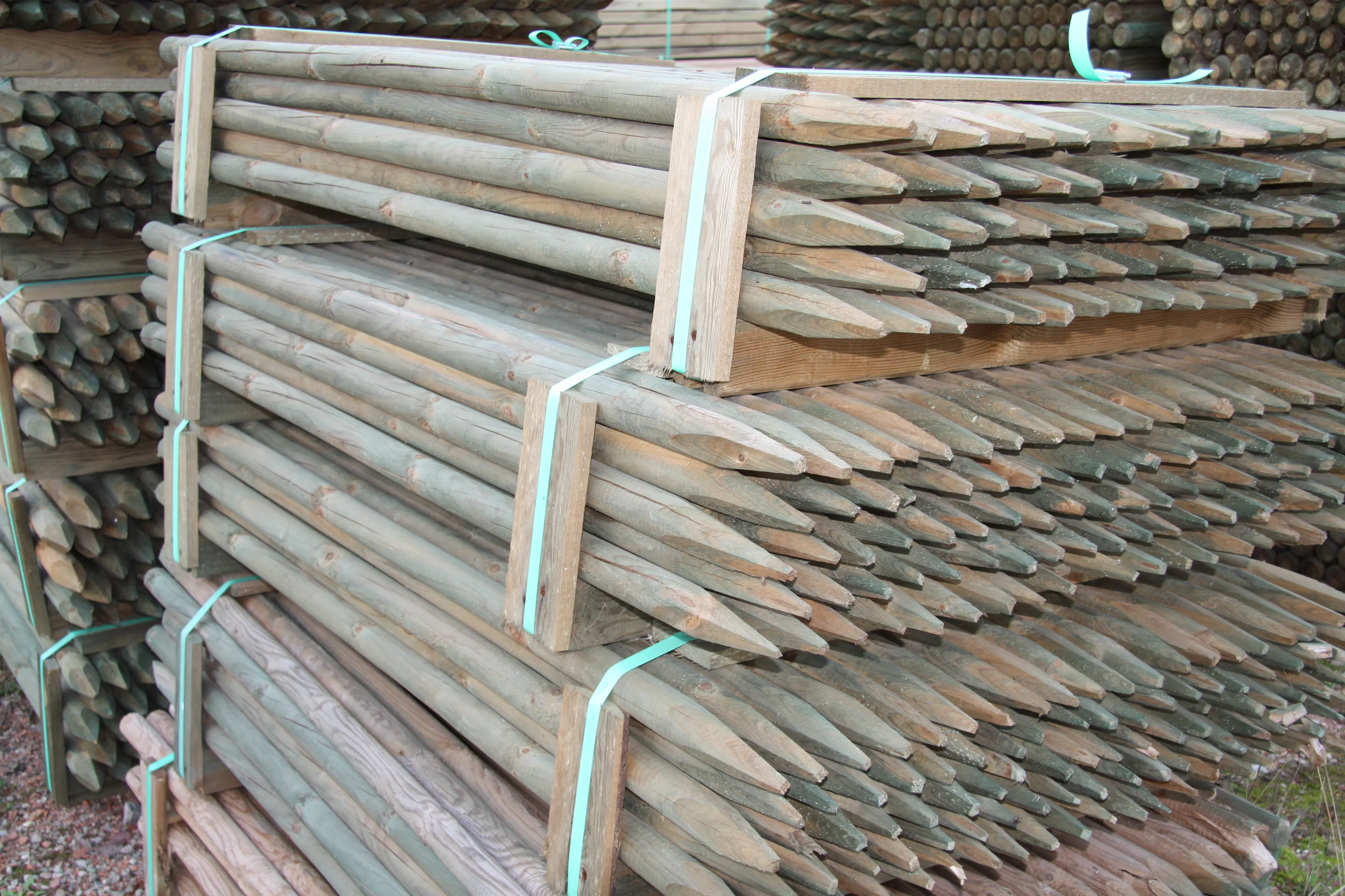 00002530~~03~Kiefer_Fichte_Pfaehle