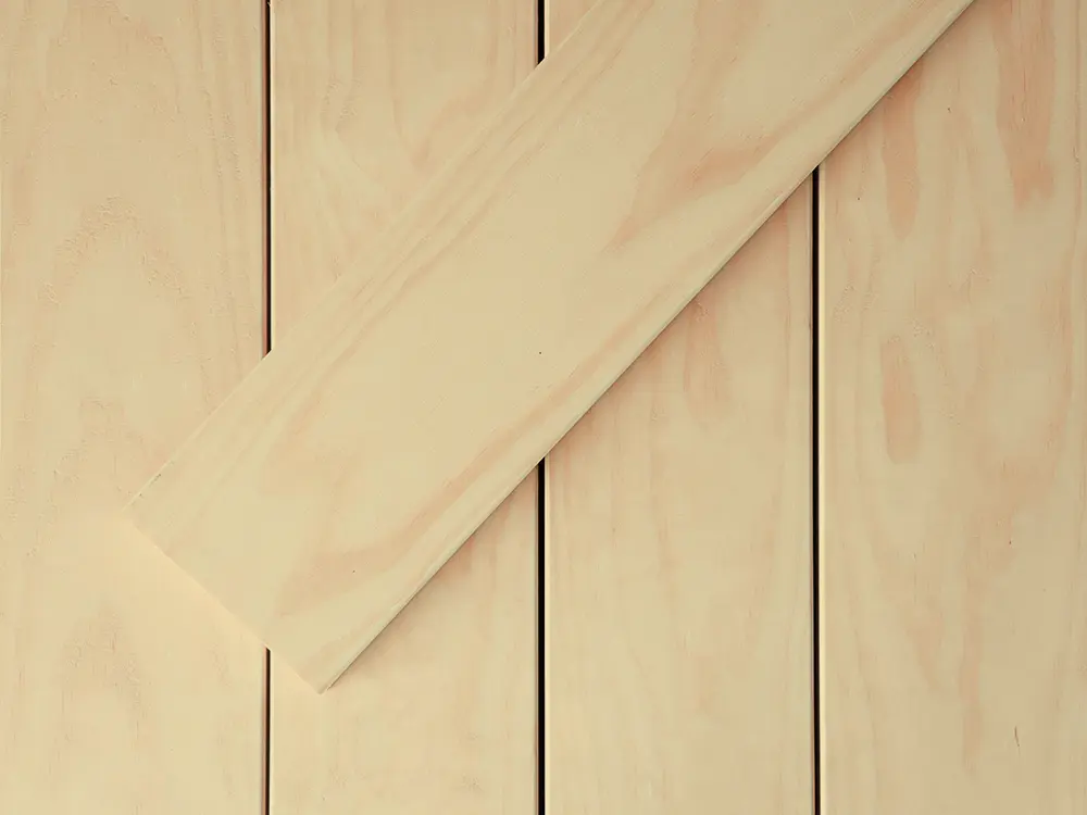 18-205069~~06~Accoya_Nut_Freisteller4