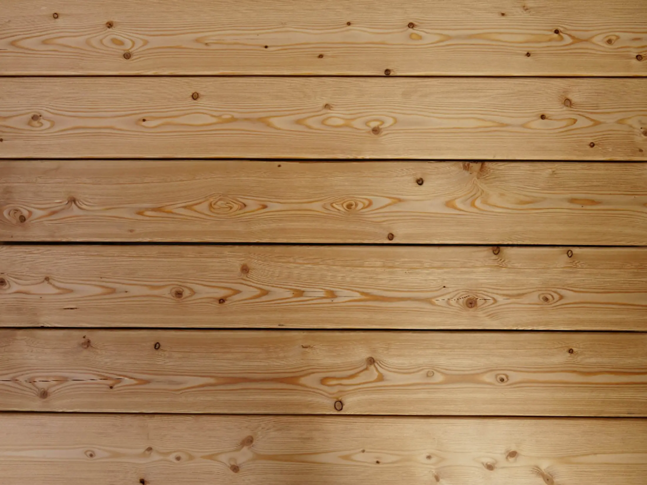 18-220330~~25~Kanadische_Lareche_27x143_glatt_Glatt_05