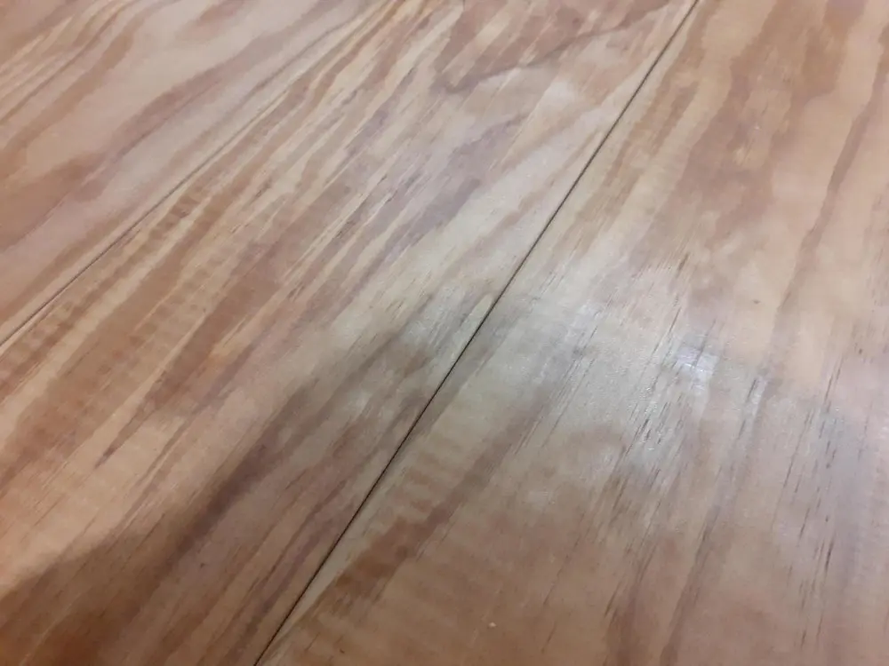 18-201846-B~~04~Lignia_Sortierausschuss04