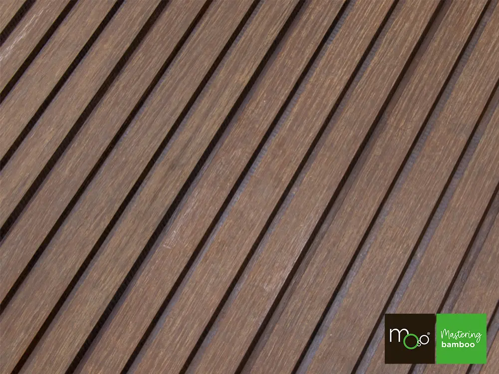 18-204712~~33~Triplerhombus_Moso_FS33