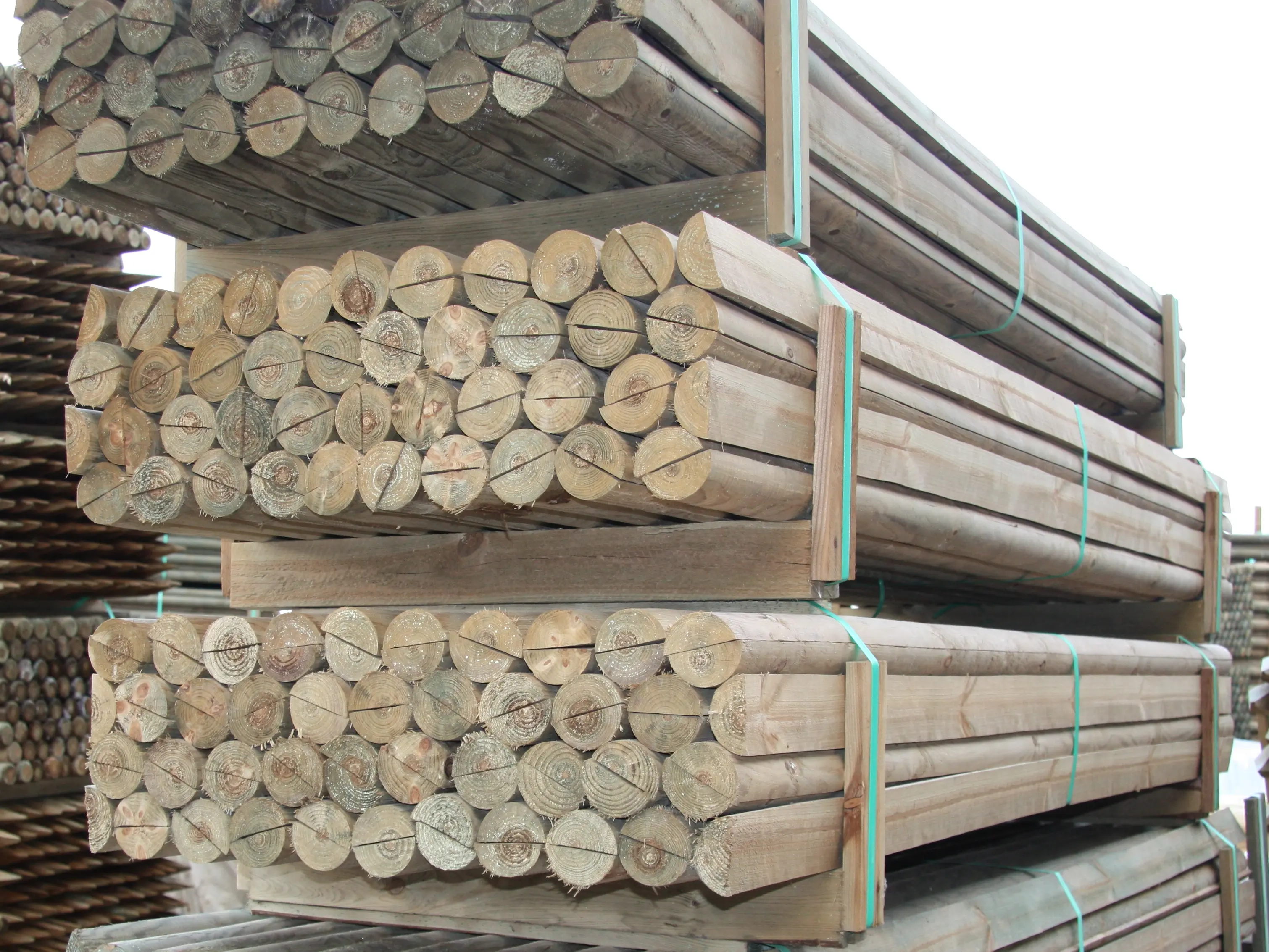 18-204085~~02~Kiefer_Fichte_Halbholzriegel