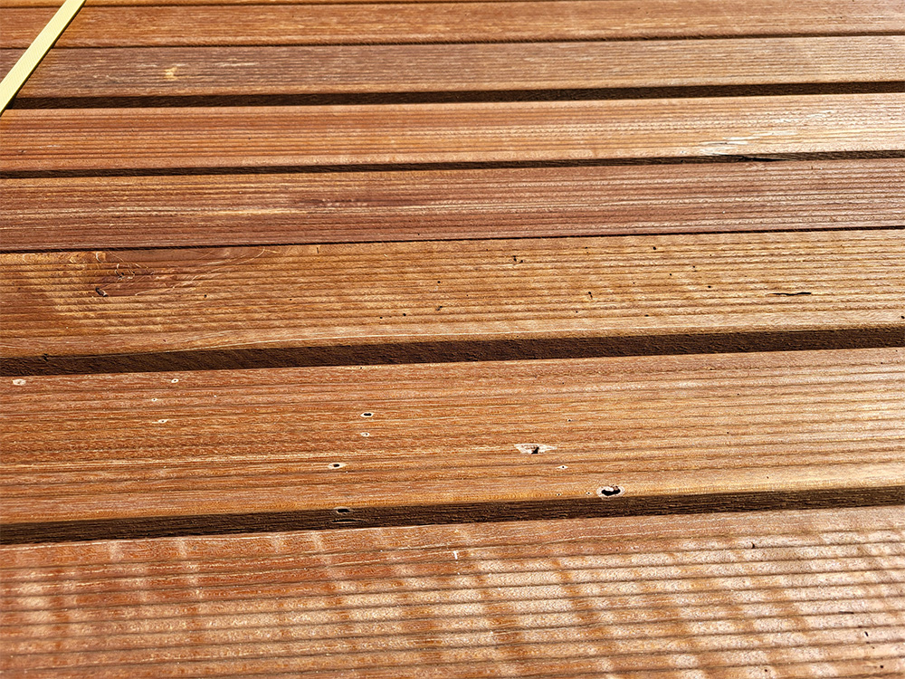 18-204583~~07~BangkiraiUK_B-Grade07