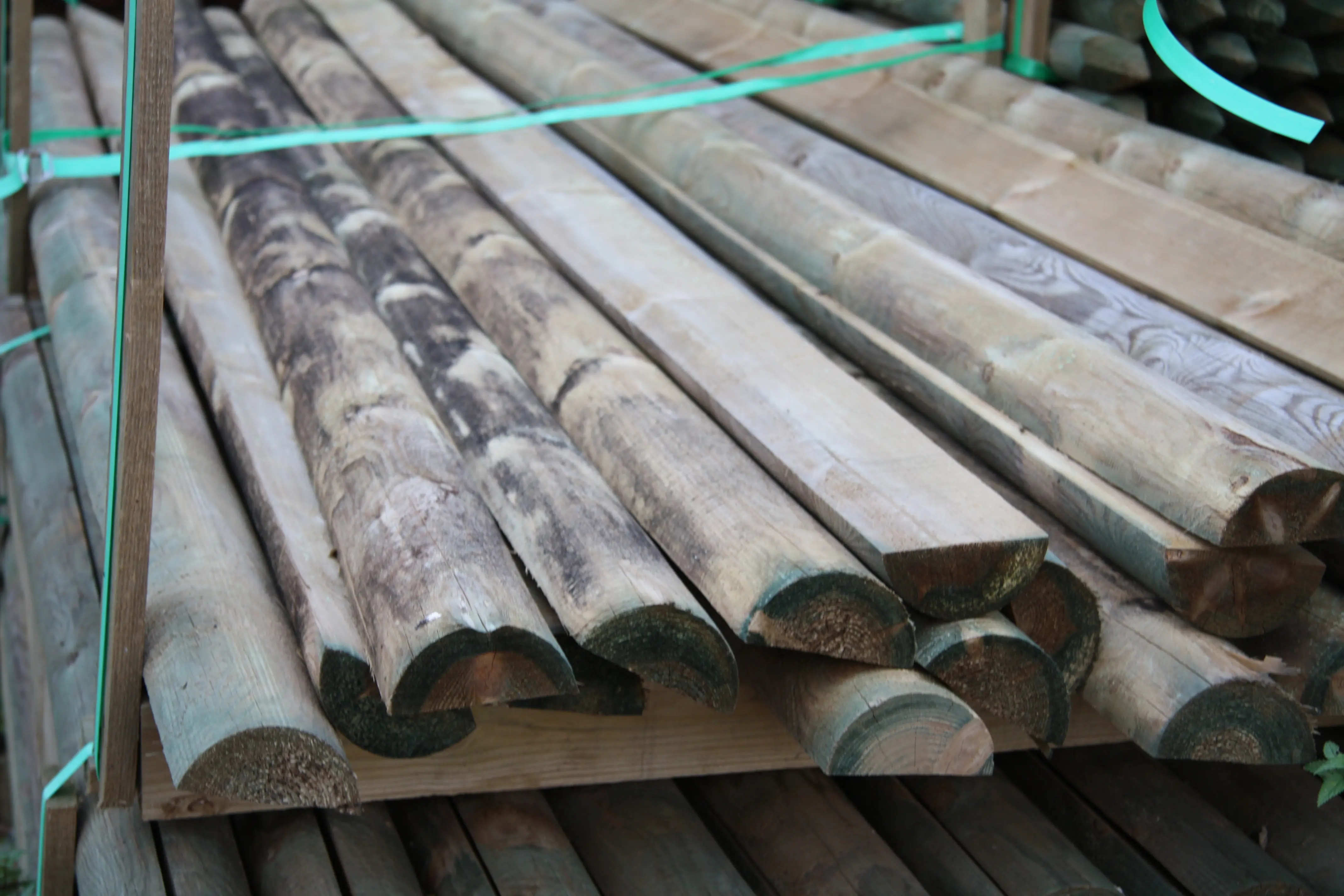 00002523~~01~Kiefer_Fichte_Halbholzriegel