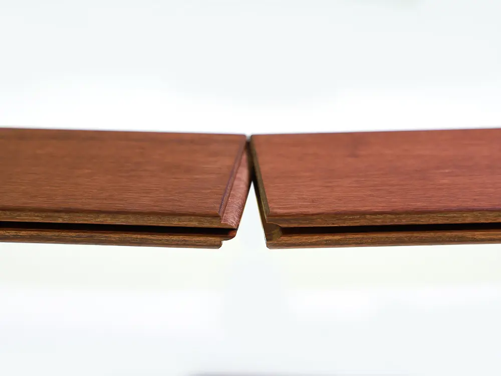 18-204458~~11~Moso11