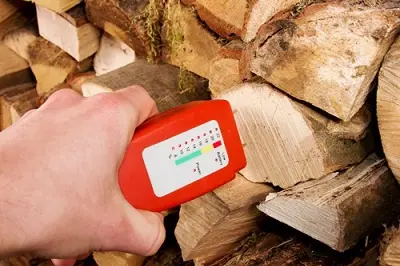 Holzfeuchte