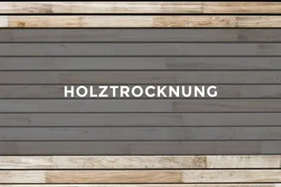 Holztrocknung