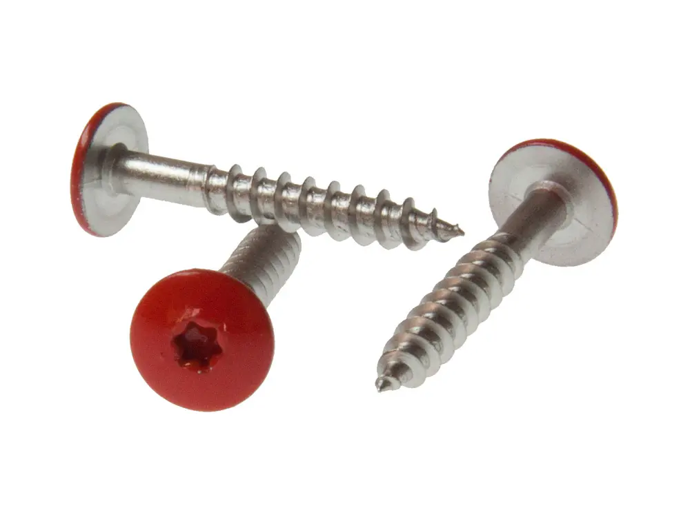 00021383~~01~Montageschraube-HPL-Schichtstoffplatten-Torx-V4A-Kopf-lackiert