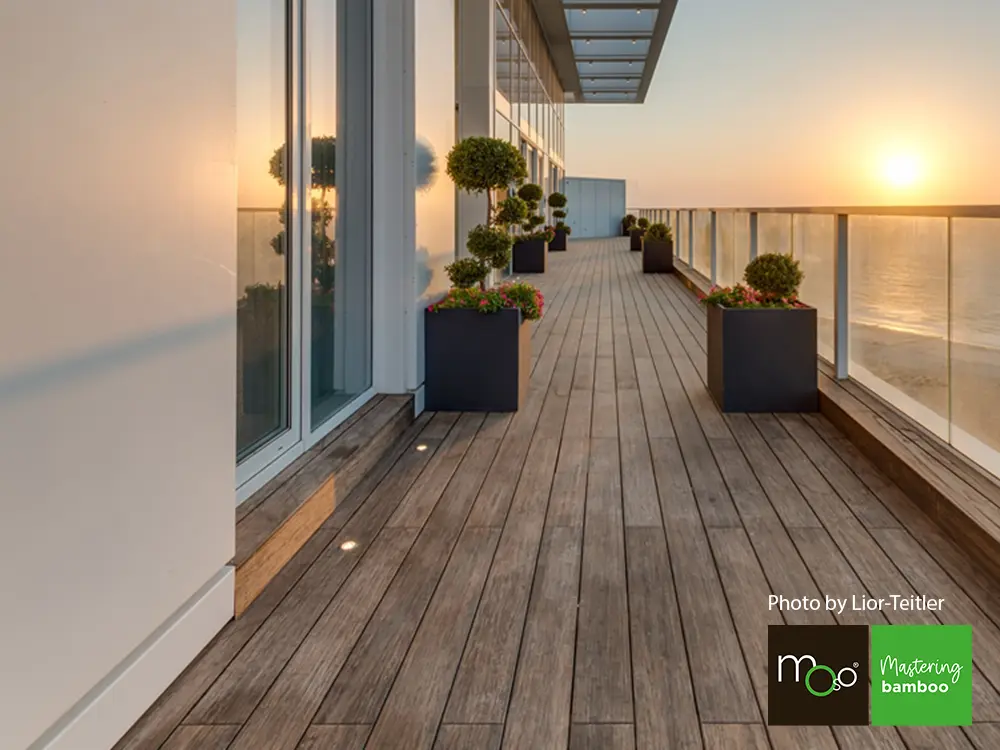 18-204630~~03~OBJ03_Moso_TD_208_fein