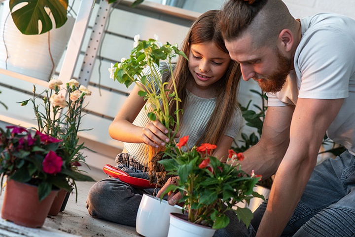 Vater und Tochter beim Urban Gardening beim Einpflanzen von Blumen