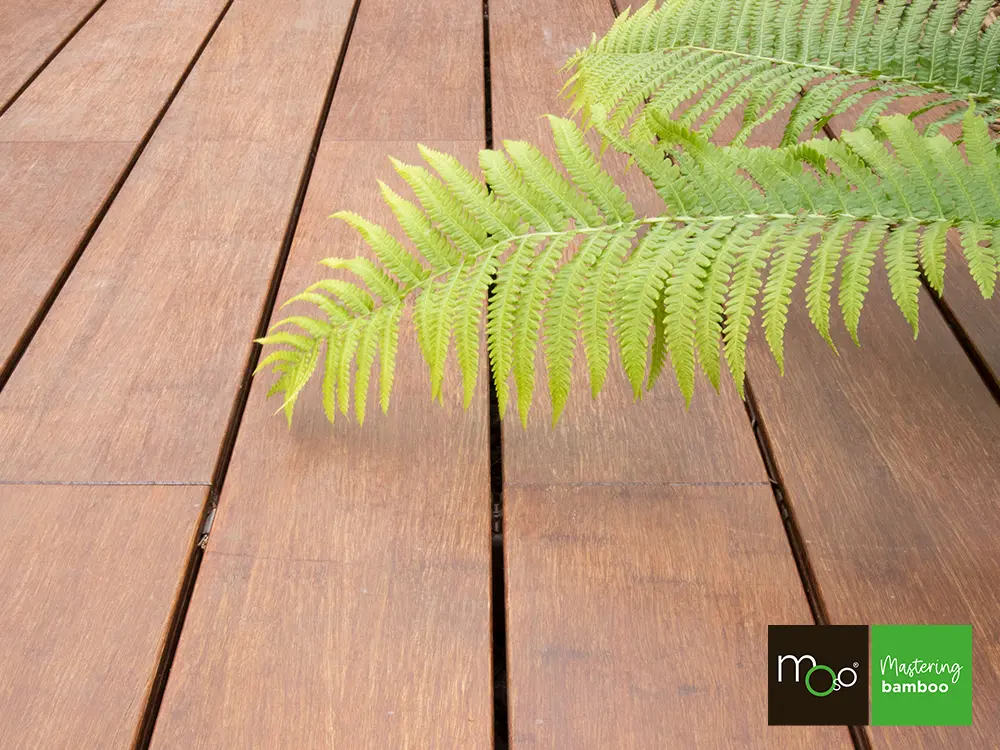 18-204658~~07~Moso_TD_Ndurance_137_FS7