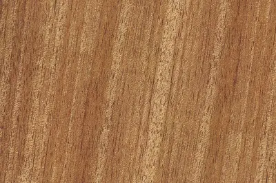 Mahagoni