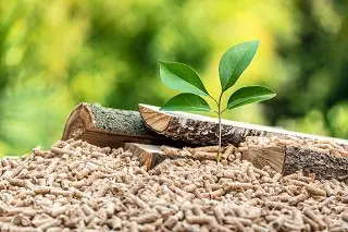Heizen mit Pellets: Greenwashing statt Nachhaltigkeit?