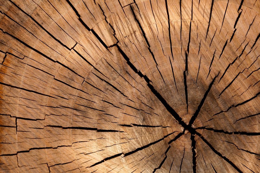 Holz Nahansicht