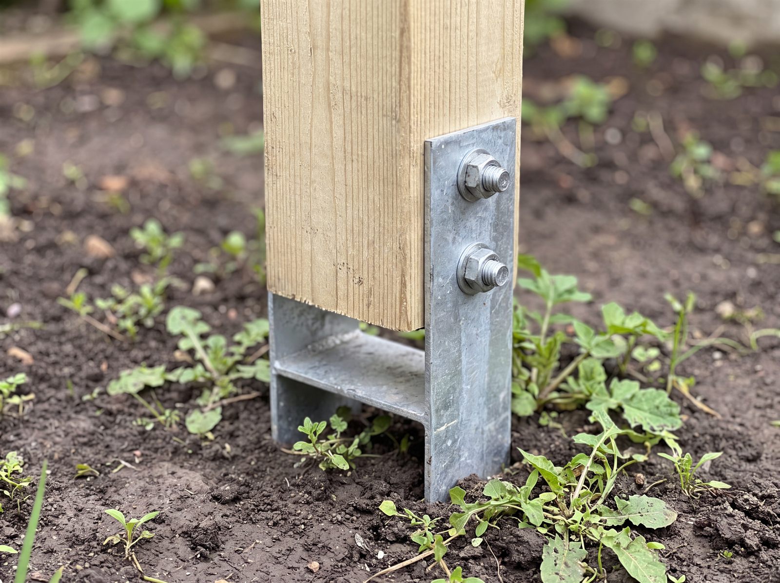 Holzpfosten des Tomatenhauses steht auf einem verzinkten H-Pfostenanker mit Abstand zum Boden